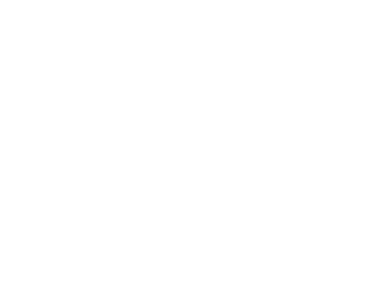 Veteran owned business